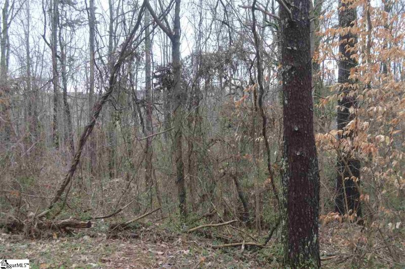 Property image 4 at 311 Bonita Drive, Easley, SC 29642
