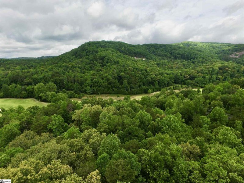 Property image 2 at Oakland Hills Way, Travelers Rest, SC 29690