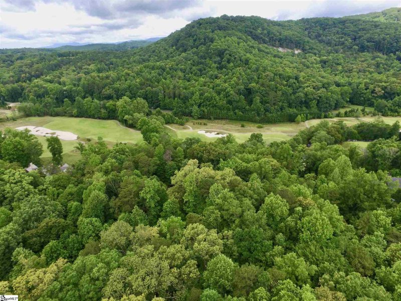 Property image 3 at Oakland Hills Way, Travelers Rest, SC 29690