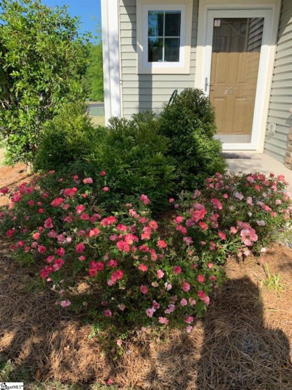 Property image 3 at 201 Button Willow Street, Taylors, SC 29687