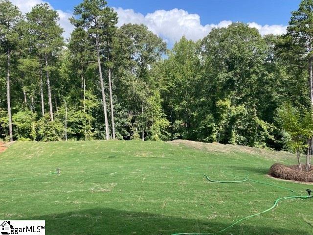 Property image 5 at 195 Crisp Cameo Court, Greer, SC 29651