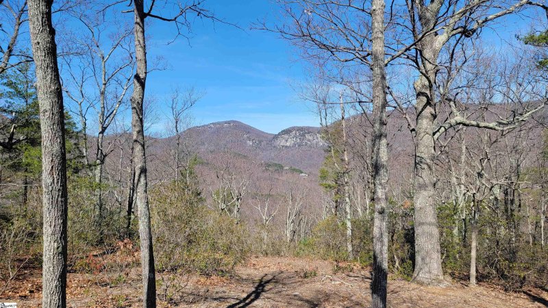 Property image 2 of 107 Roundtop Lane in The Cliffs at Glassy, Landrum, SC 29356