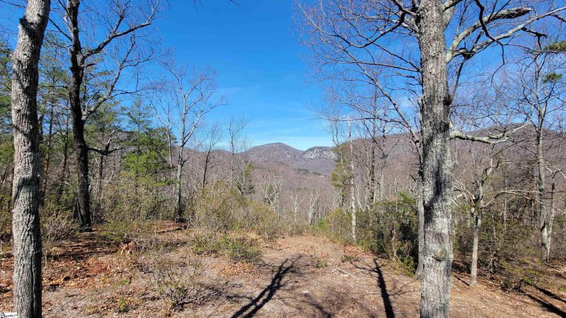 Property image 3 of 107 Roundtop Lane in The Cliffs at Glassy, Landrum, SC 29356