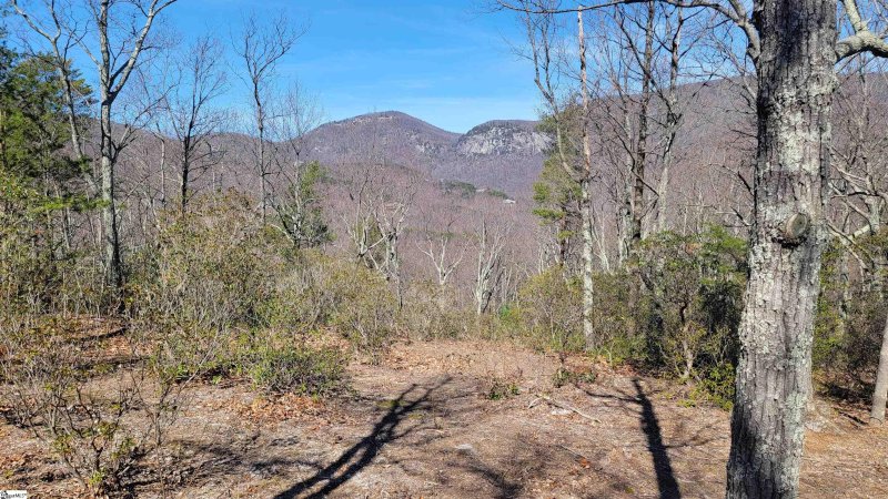 Property image 4 of 107 Roundtop Lane in The Cliffs at Glassy, Landrum, SC 29356