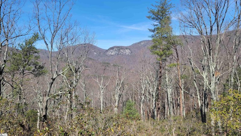 Property image 5 of 107 Roundtop Lane in The Cliffs at Glassy, Landrum, SC 29356