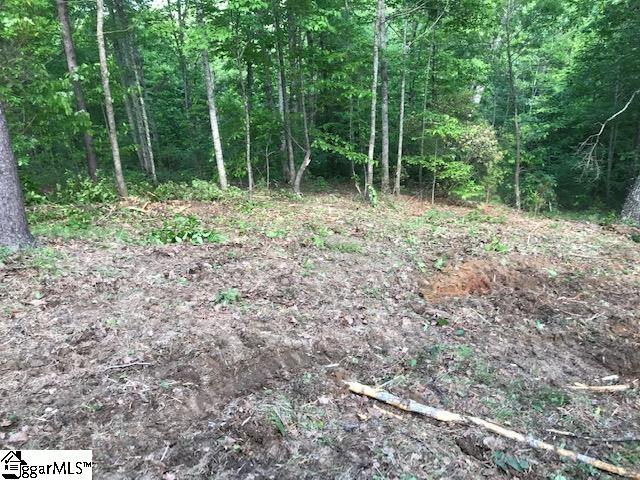 Property image 4 at 301 Blue Bonnet Trail, Marietta, SC 29661-5186