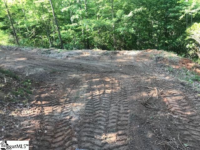 Property image 5 at 301 Blue Bonnet Trail, Marietta, SC 29661-5186