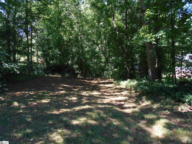 Property image 5 at 123 Loblolly Drive, Wellford, SC 29385