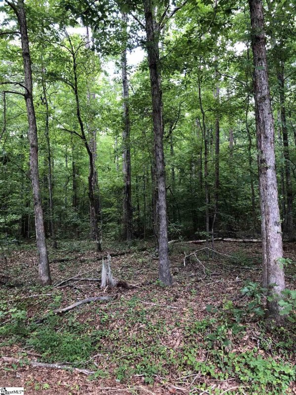 Property image 2 at 00 Manhattan Boulevard, Piedmont, SC 29673