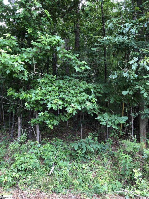 Property image 3 at 00 Manhattan Boulevard, Piedmont, SC 29673