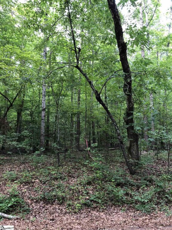 Property image 4 at 00 Manhattan Boulevard, Piedmont, SC 29673