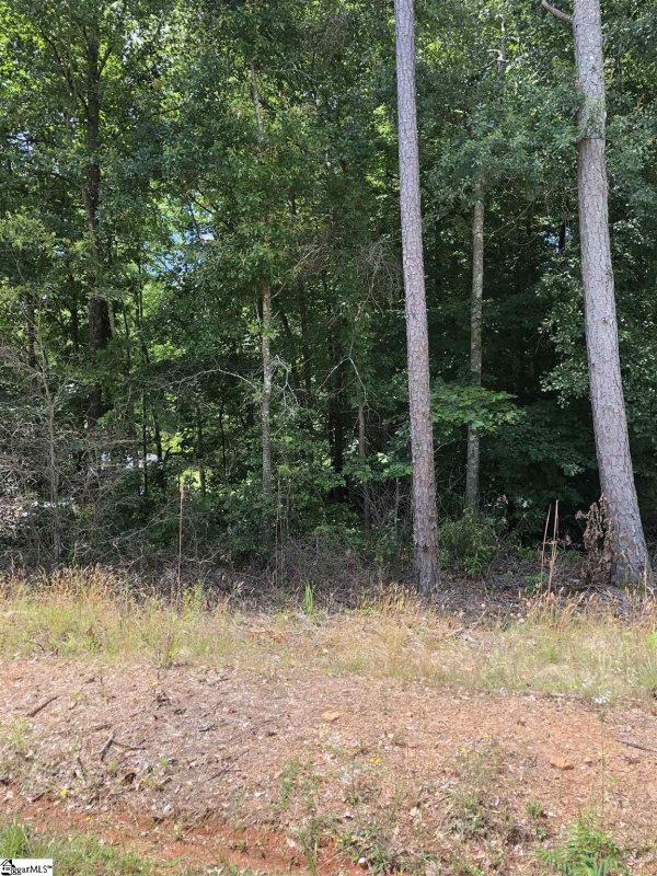 Property image 5 at 00 Manhattan Boulevard, Piedmont, SC 29673