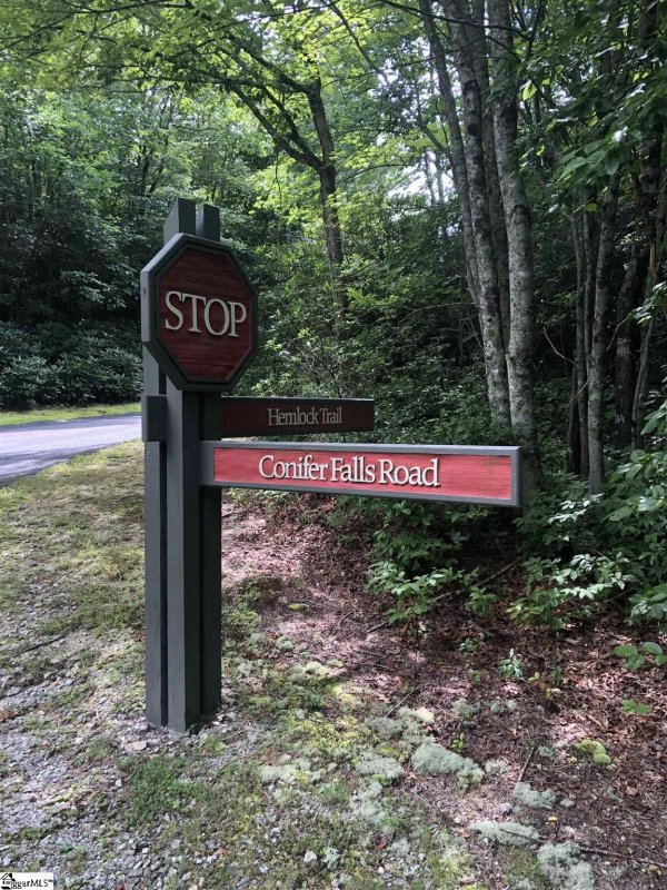 Property image 5 at 216 Conifer Falls Road, Cleveland, SC 29635