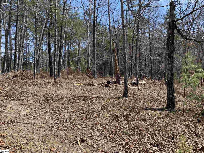 Property image 5 at 203 W Cannon Court, Seneca, SC 29672