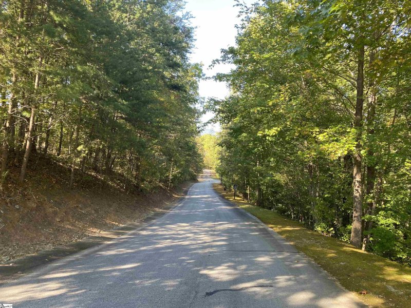 Property image 5 at 207 Luberon Lane, Travelers Rest, SC 29609