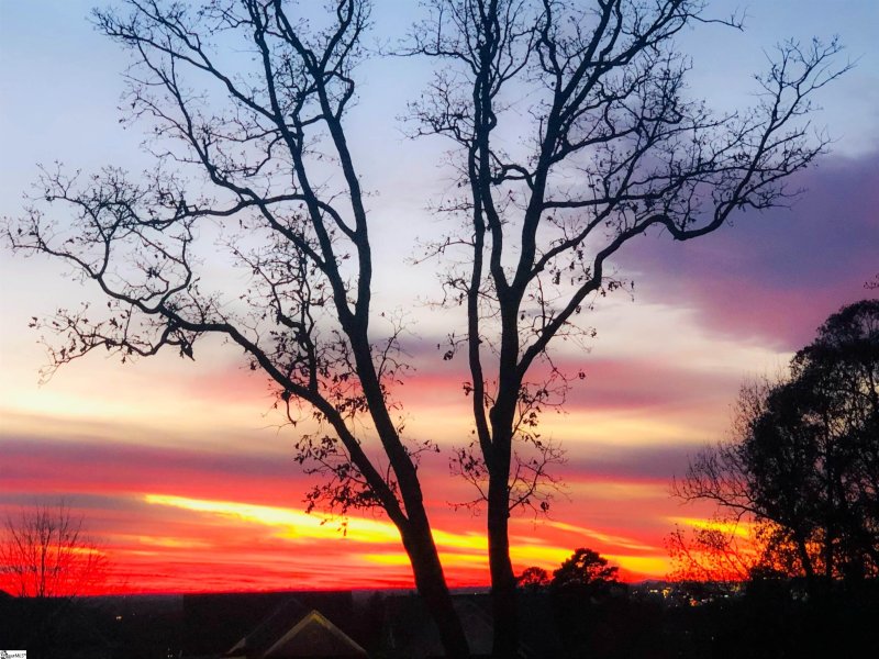 Property image 4 at 17 Lowther Hall Lane, Greenville, SC 29615