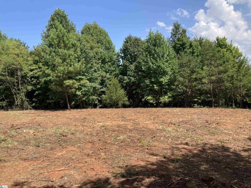 Property image 3 at 601 Blue Bonnet Trail, Marietta, SC 29661