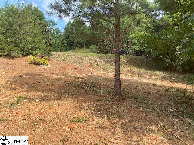 Property image 4 at 601 Blue Bonnet Trail, Marietta, SC 29661