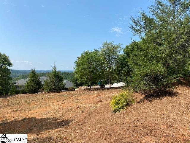 Property image 5 at 601 Blue Bonnet Trail, Marietta, SC 29661