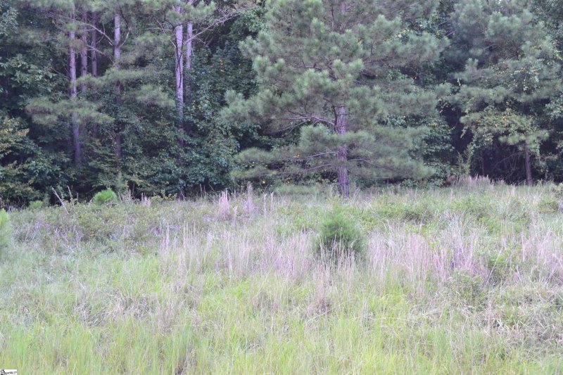 Property image 4 at 89 E Commodore Drive, Cross Hill, SC 29332