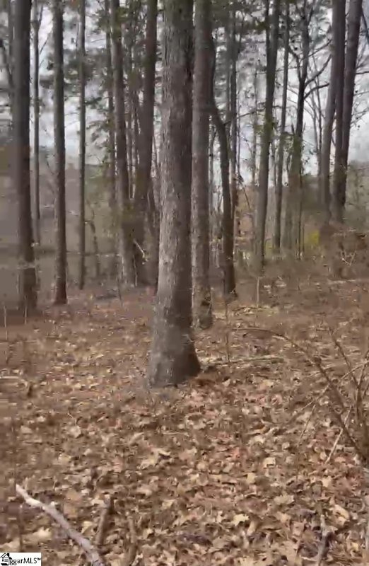 Property image 3 at 122 Wynward Pointe Drive, Salem, SC 29676