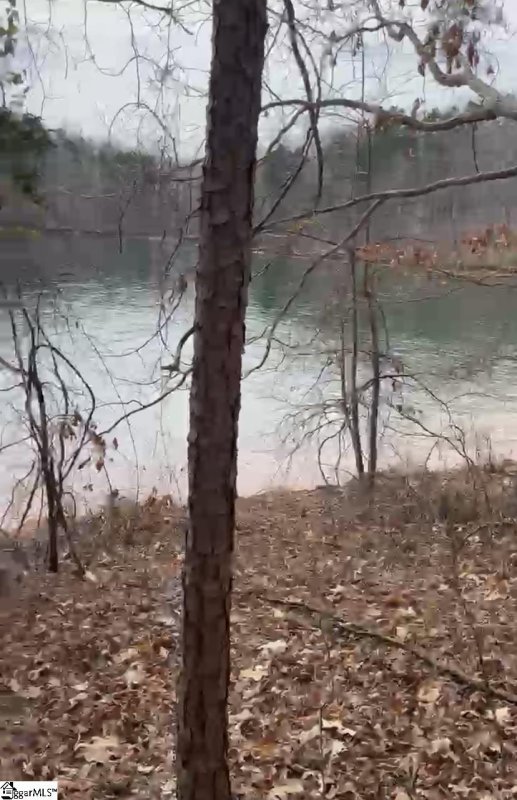 Property image 4 at 122 Wynward Pointe Drive, Salem, SC 29676