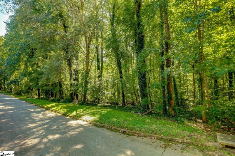 Property image 5 at 0 Burlwood Court, Taylors, SC 29687