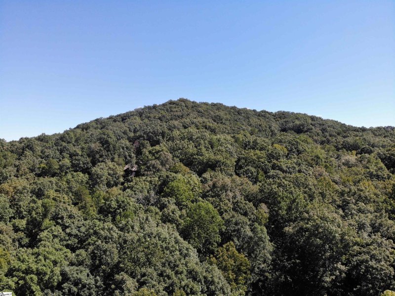 Property image 5 at 14 Alsace Way, Travelers Rest, SC 29690