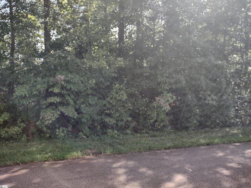 Property image 4 at 0 Cambridge Drive, Greenville, SC 29605