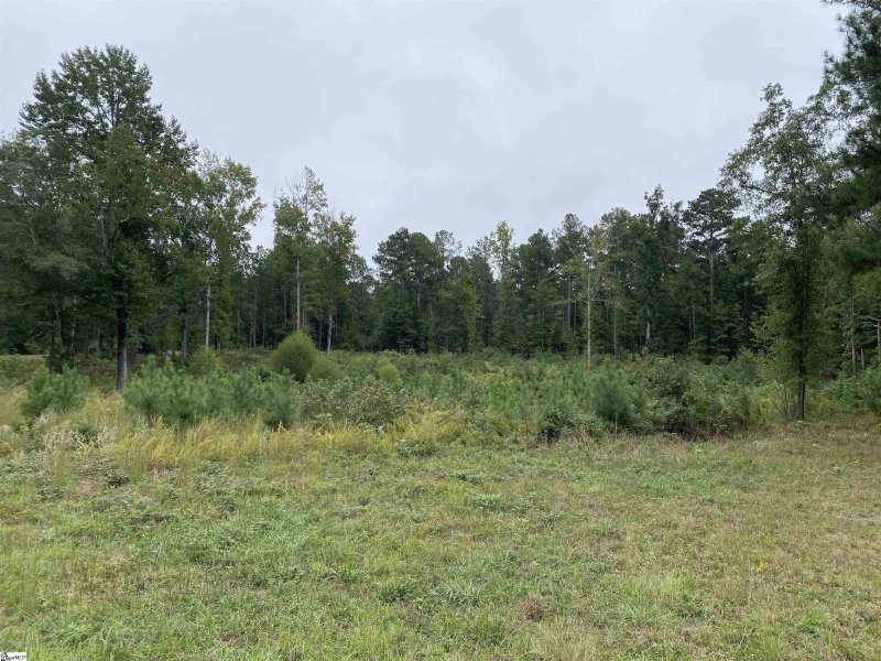 Property image 3 at 141 Pheasant Way, Fountain Inn, SC 29644