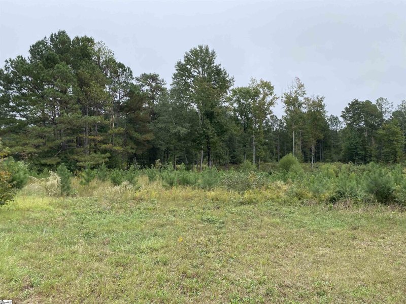 Property image 4 at 141 Pheasant Way, Fountain Inn, SC 29644