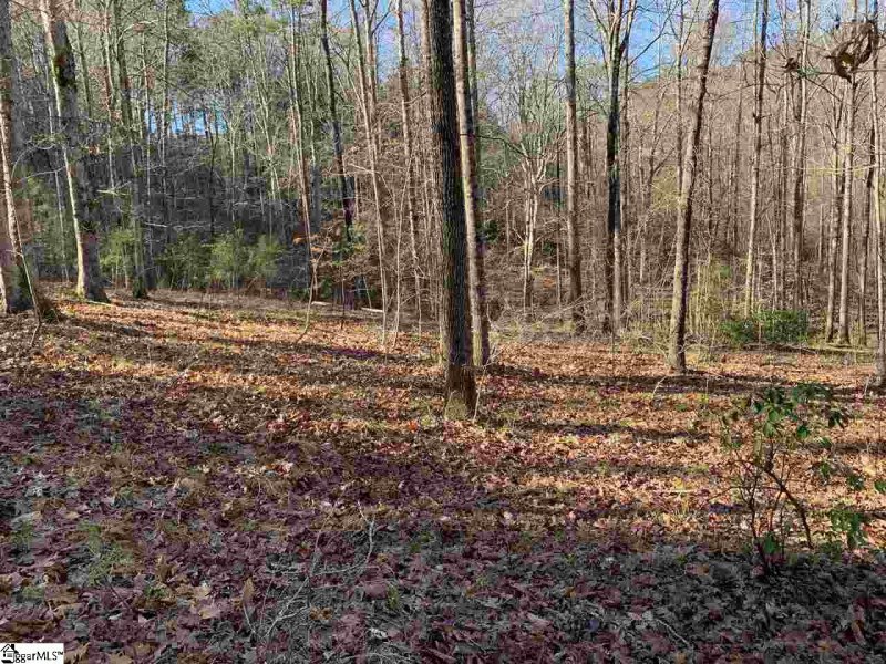 Property image 2 at 118 Edgestone Way, Six Mile, SC 29682