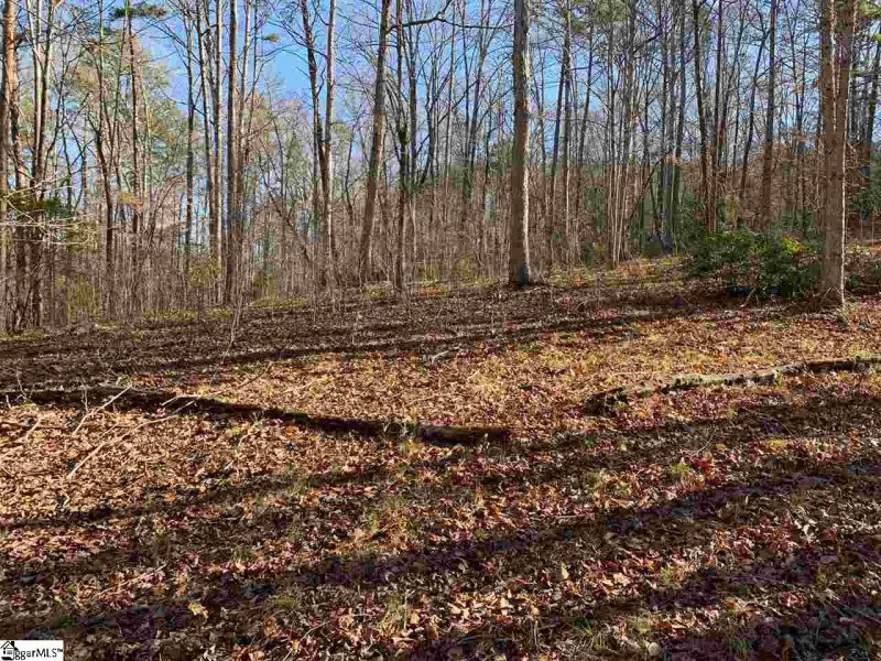 Property image 3 at 118 Edgestone Way, Six Mile, SC 29682