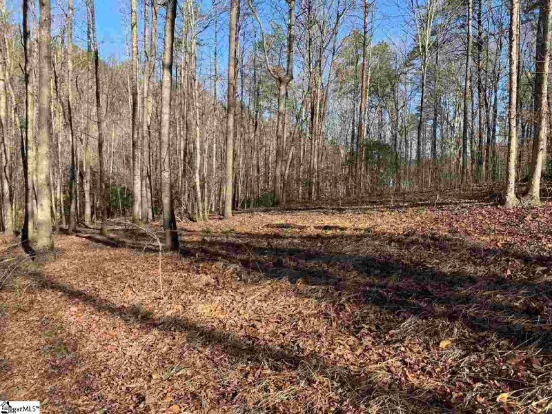 Property image 4 at 118 Edgestone Way, Six Mile, SC 29682