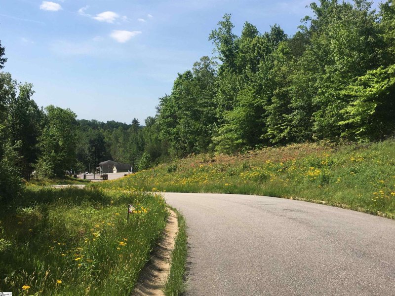 Property image 4 at 415 Navajo Court, Marietta, SC 29661