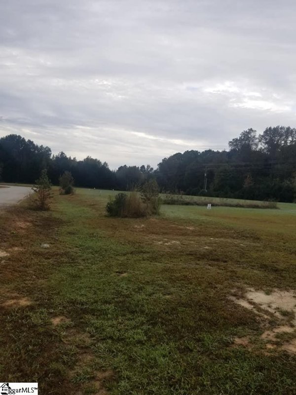 Property image 3 at Essex Drive, Clinton, SC 29325