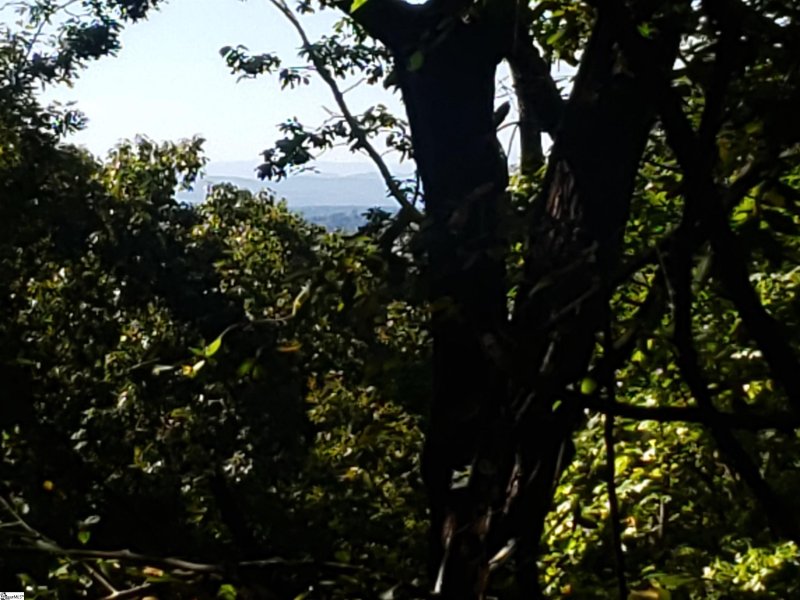 Property image 2 at 19287 Patrol Club Road, Greenville, SC 29609