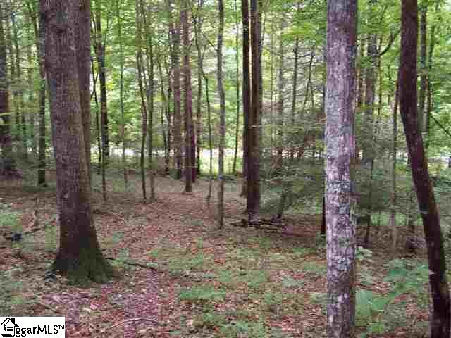 Property image 3 at 108 River Road, Cleveland, SC 29635