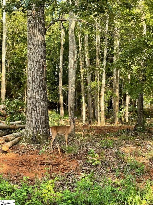 Property image 4 at 103 Angler Drive, Laurens, SC 29360