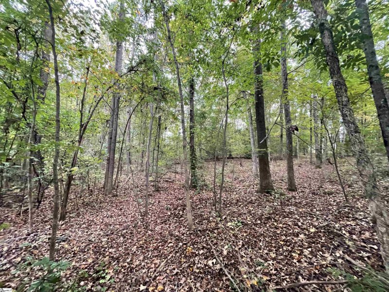 Property image 4 at 0 Kingston Drive, Laurens, SC 29360