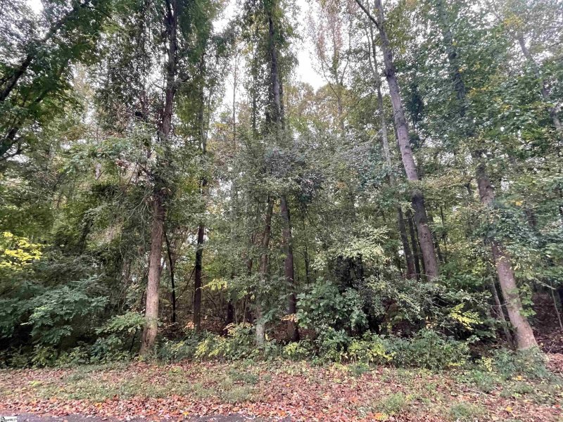 Property image 4 at 0 Kingston Drive, Laurens, SC 29360