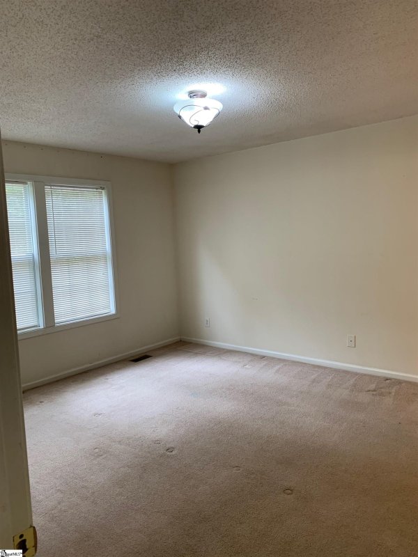 Property image 4 at 408 Palmetto Court, Greer, SC 29651