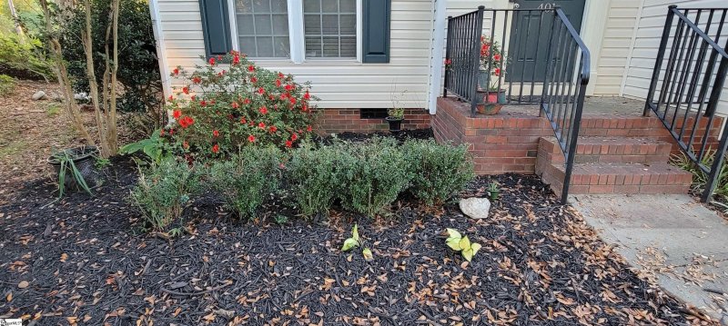 Property image 3 at 401 Scarlet Oak Drive, Fountain Inn, SC 29644