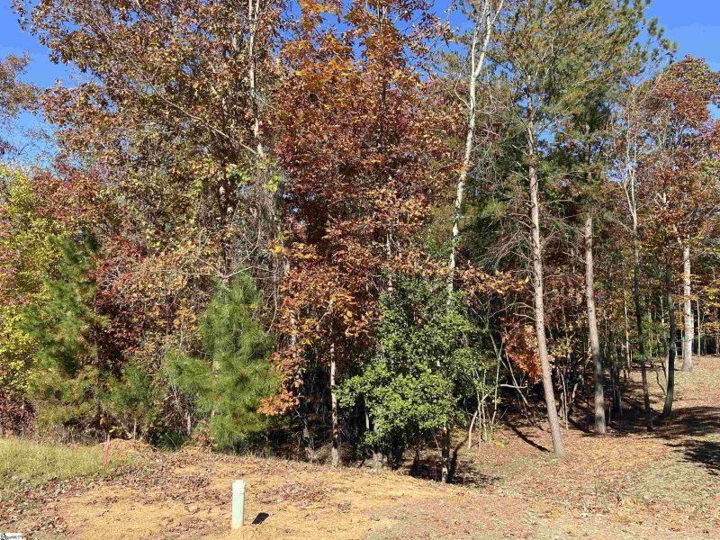 Property image 3 at 208 Ganite Hill Trail, Pelzer, SC 29669