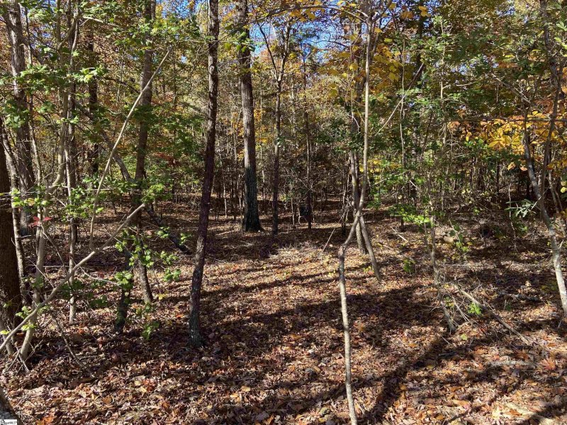 Property image 4 at 208 Ganite Hill Trail, Pelzer, SC 29669