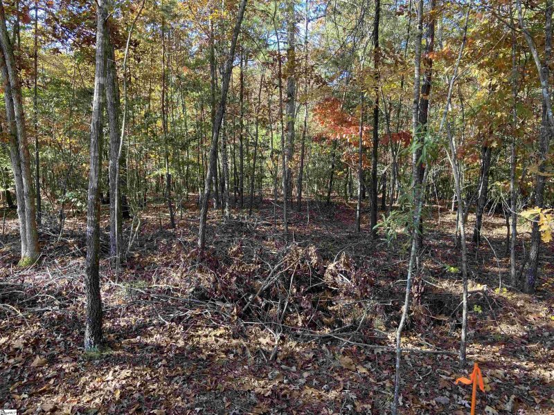 Property image 5 at 208 Ganite Hill Trail, Pelzer, SC 29669