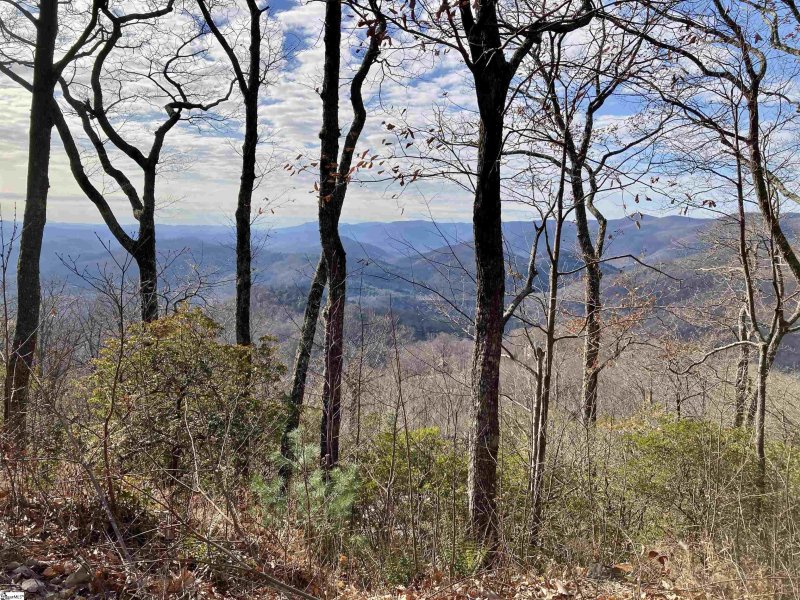 Property image 4 of 207 Night Crest Trail in Cliffs Valley, Travelers Rest, SC 29690