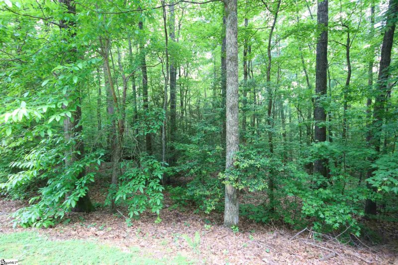 Property image 2 at 115 GARDEN GATE Trail, Marietta, SC 29661