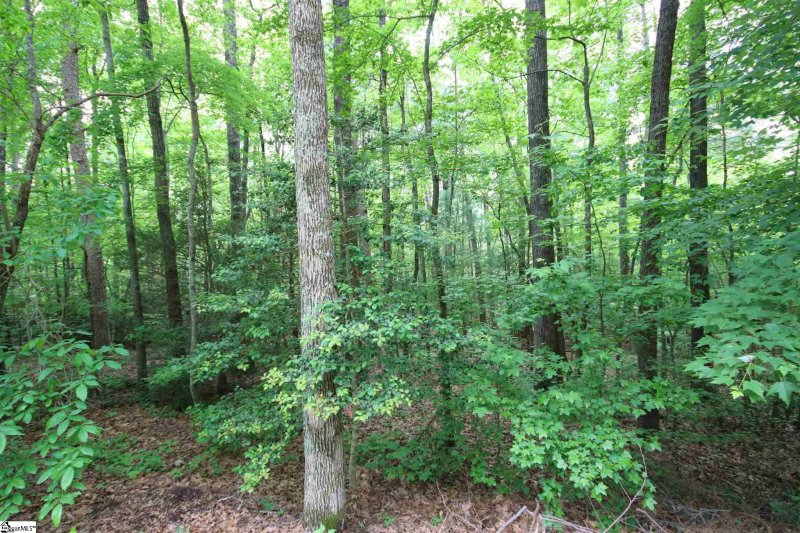 Property image 4 at 115 GARDEN GATE Trail, Marietta, SC 29661