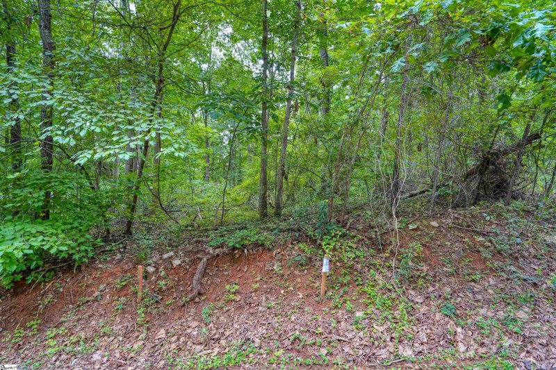 Property image 4 at 00 Sequayah Drive, Fair Play, SC 29643